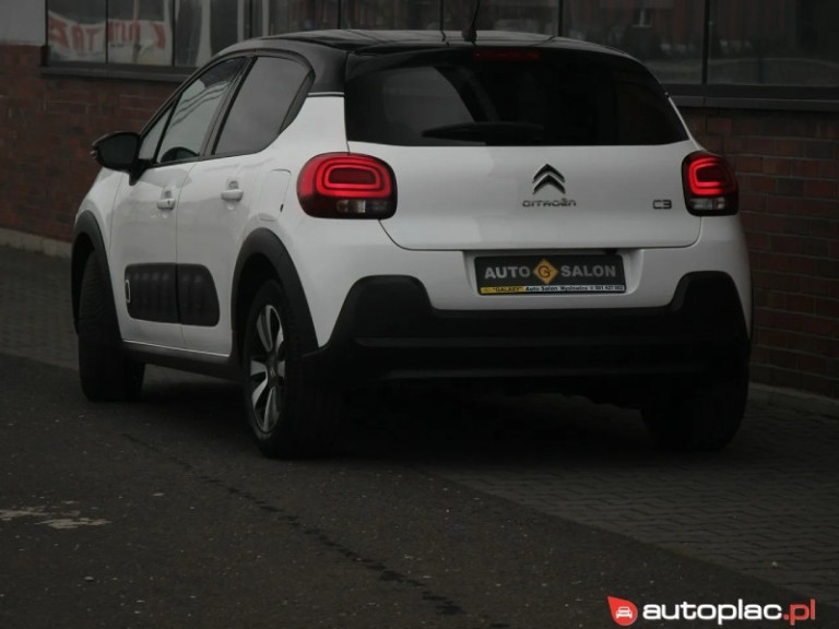 citroen-c3-iii-12-bialy (2)