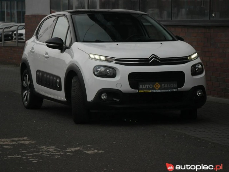 citroen-c3-iii-12-bialy (1)