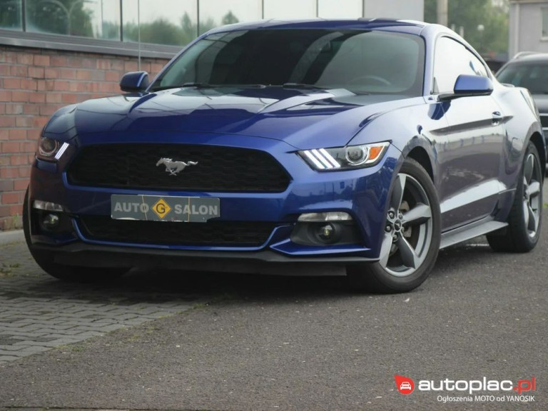 ford-mustang-37-2016-fioletowy (2)