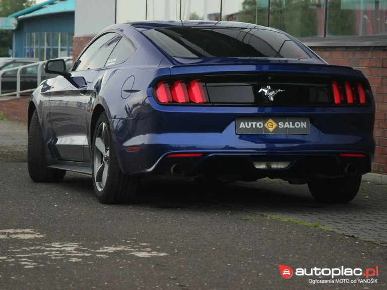 ford-mustang-37-2016-fioletowy (3)