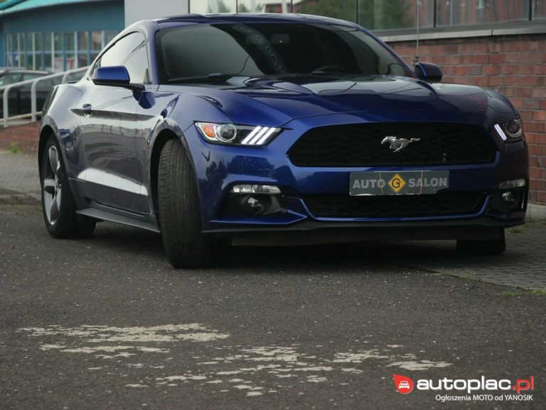 ford-mustang-37-2016-fioletowy (1)