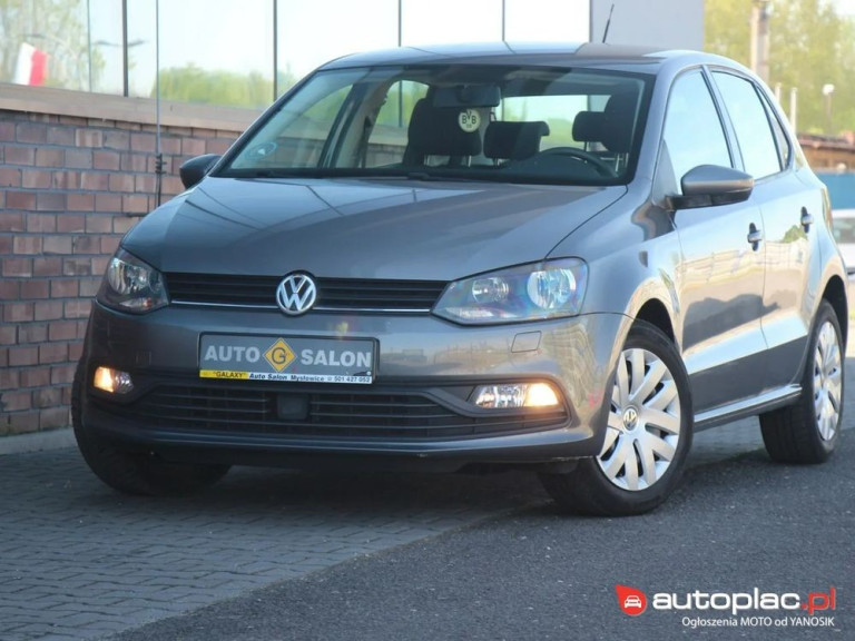 volkswagen-polo-10-2014-szary (1)